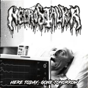 Here Today, Gone Tomorrow