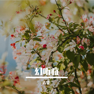 幻听成瘾全都是你