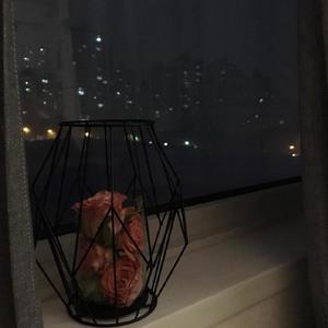 我是草莓，不是草莓味的