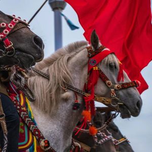 西部Freestyle(prod by GOAT CREW)