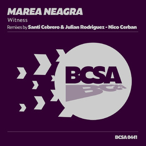 Witness (Nico Cerban Remix)