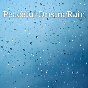 夜の瞑想ピアノBGM (雨)