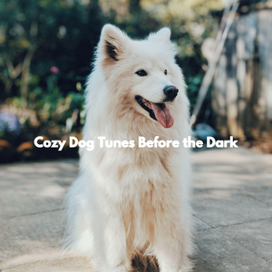 Outstanding Moods for Free Focus