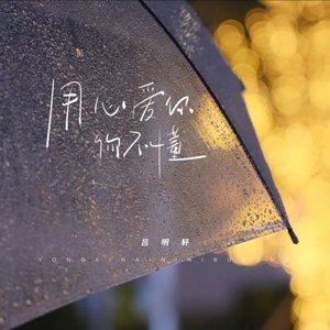 用心爱你你不懂