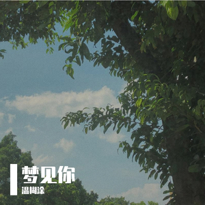 梦到你