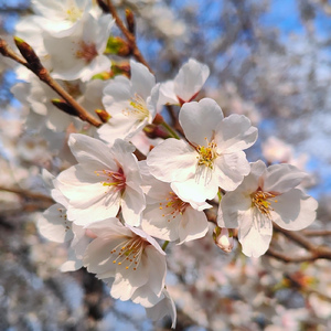 はじめのいっぽ