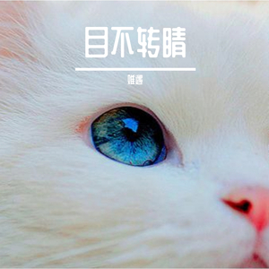 目不转睛