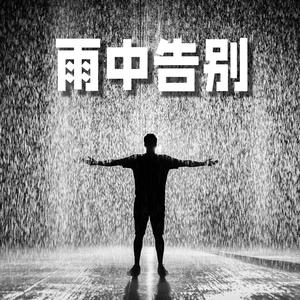雨中告别
