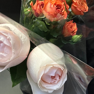 谢谢你陪我的那些天