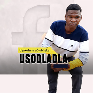 uyakufuna udlubheke (Radio Edit)