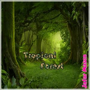 Tropical Forest (Jafar Mazine Remix)