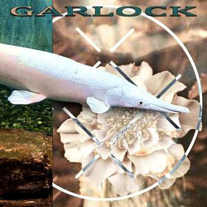 garlock