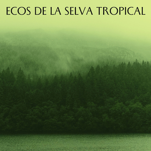 Armonía Calmante Y Helada