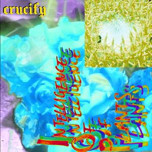Crucify (Single Version)