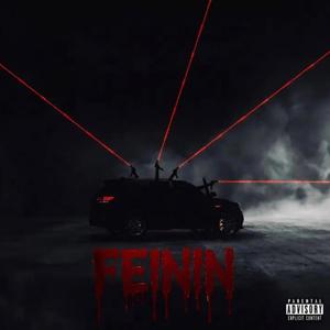 FEININ (feat. KAPAVELI)