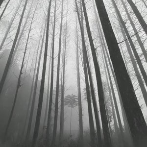 晚风捎去的思念