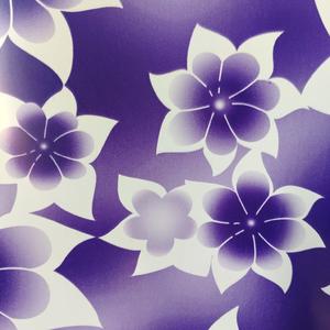 科目三（dj版）