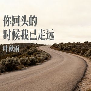 你回头的时候我已走远(伴奏)