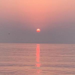 幽静的夏日
