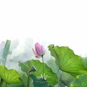 御风 (脑波音乐)