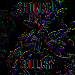 Soulcry (Slowed Down)