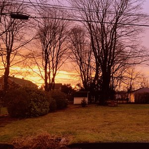 Halloween (R.I.P. Her's)