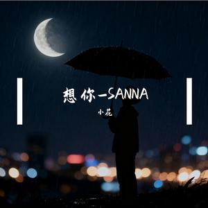 《想你SANNA》