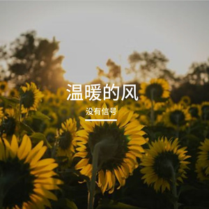 温热的风