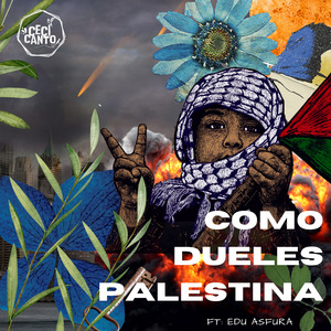 Como Dueles Palestina
