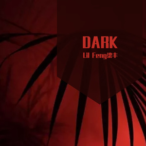 【FREE】DARK