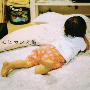 モヒカンと亀