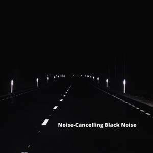 Serene Mind Black Noise