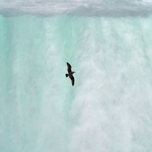 2022•你一定能成为你想成为的大人