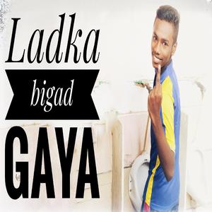 Ladka bigad gaya