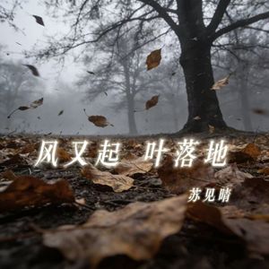 风又起 叶落地（DJ 版）-苏见晴