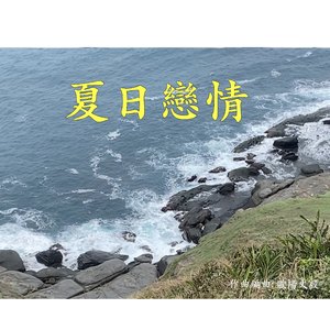 夏日恋情