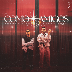 Como Amigos
