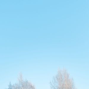 灯塔看守人的梦