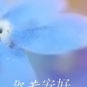 我是真的爱上你