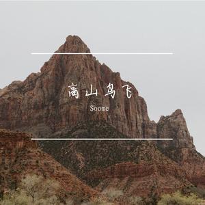高山鸟飞