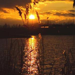 疯着跟过去别离