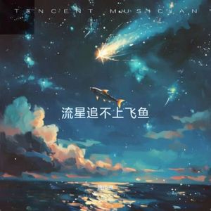 流星追不上飞鱼