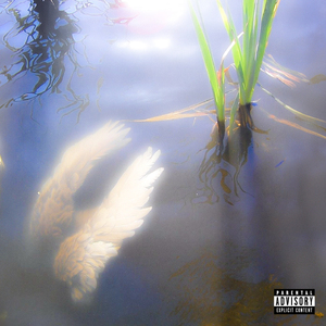 El éxito no se siente igual