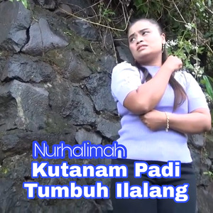 Kutanam Padi Tumbuh Ilalang