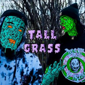 Tall Grass (feat. .strife)