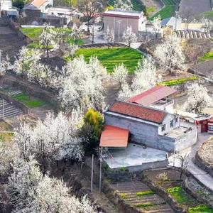 白头偕老的爱情1