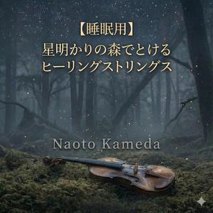星降る丘で溶けるバイオリンセレナーデ (1)