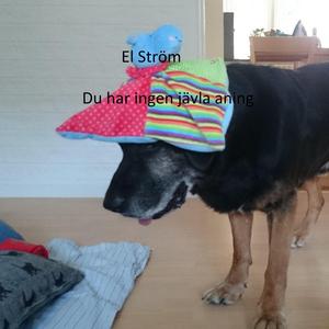 Ovanpå polisen i Skanör