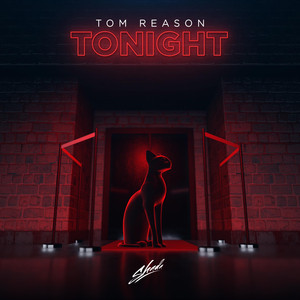 Tonight (Original Mix)