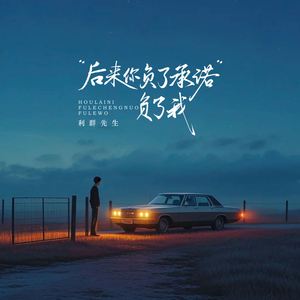 后来你负了承诺负了我